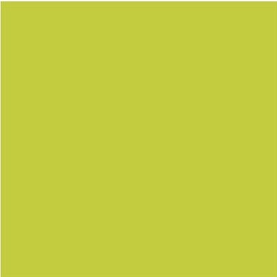 PRO COLOR / BASIC LIME GREEN