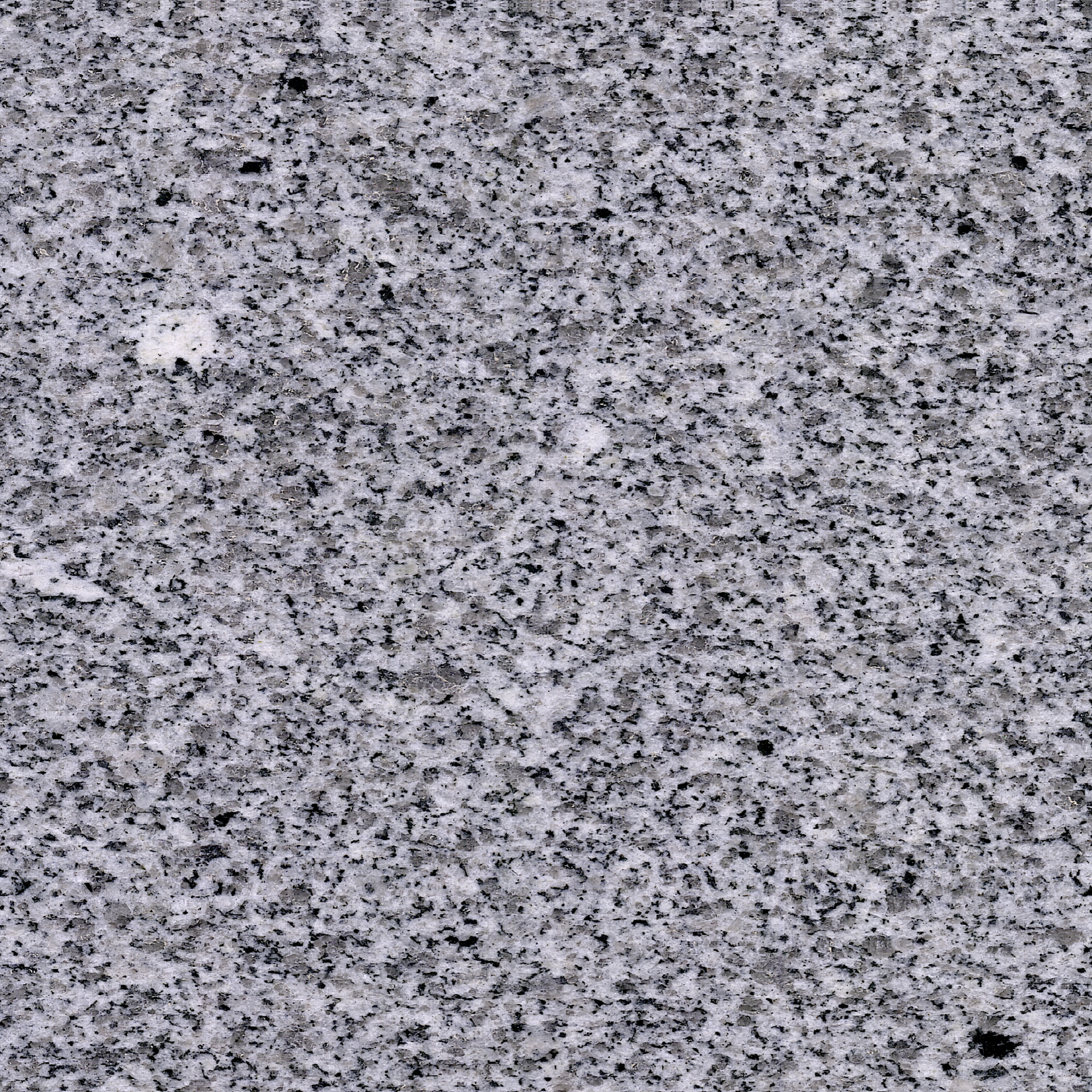 G603 White Beauty Granite