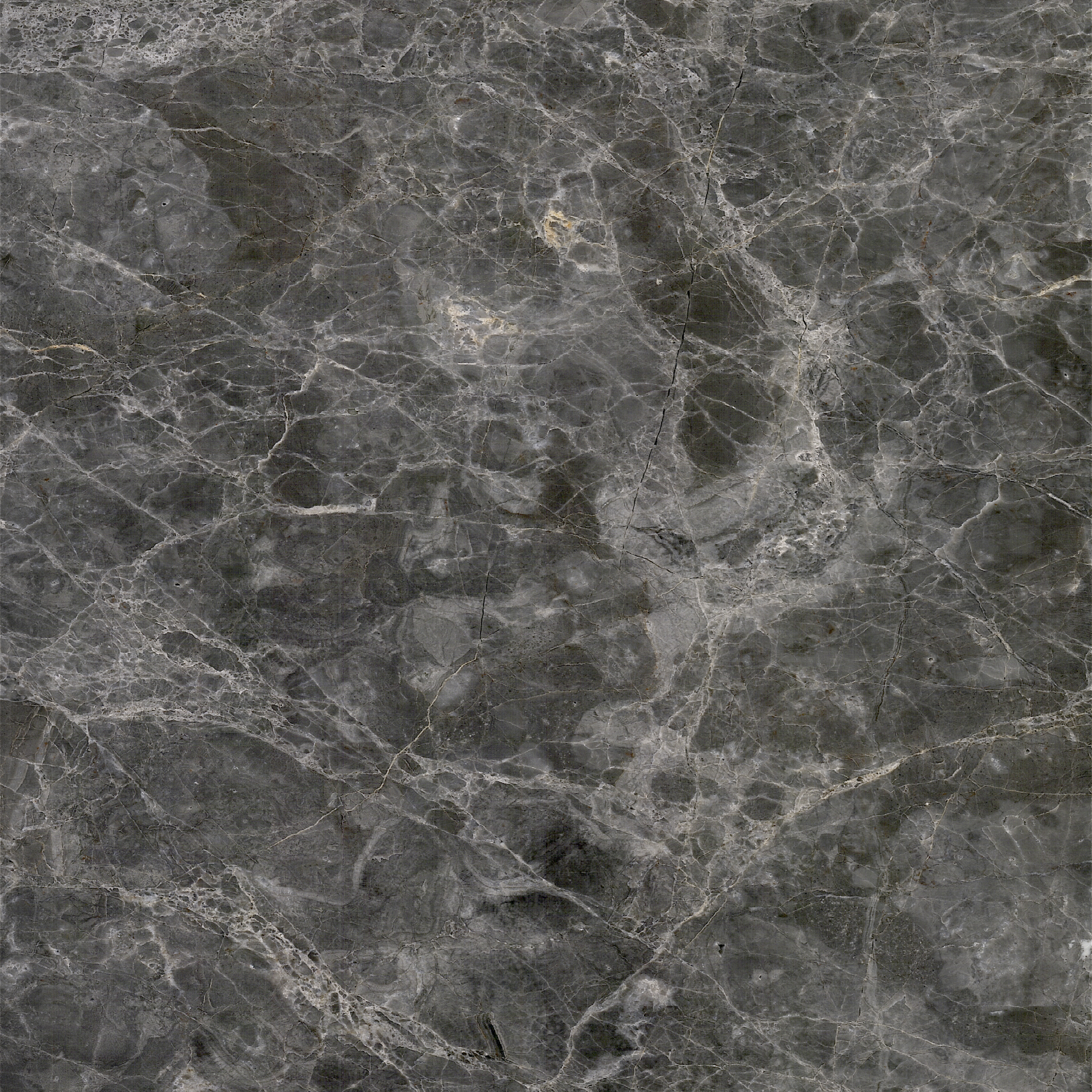 Grey Diano Marble