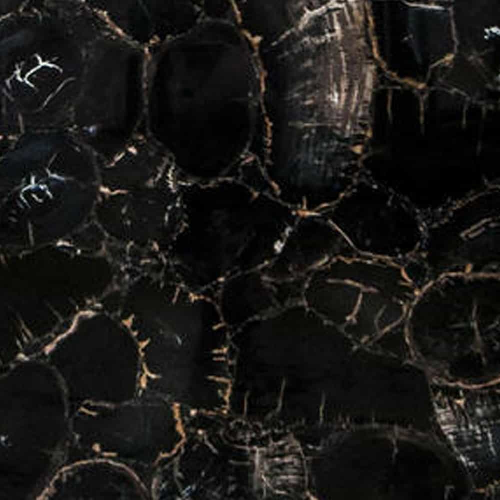 Petrified Wood Black Fossil | Semi Precious Stone